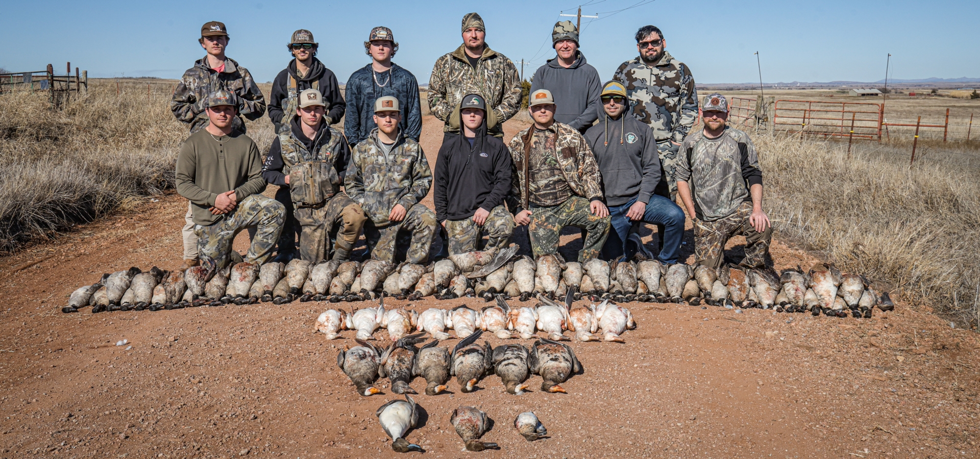 Goose Bust.jpg